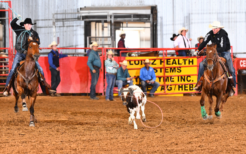 SWTJC header Reno Stoebner ropes a steer for partner Colt Brittian of Hill College Photographer: Jennings Rodeo Photography