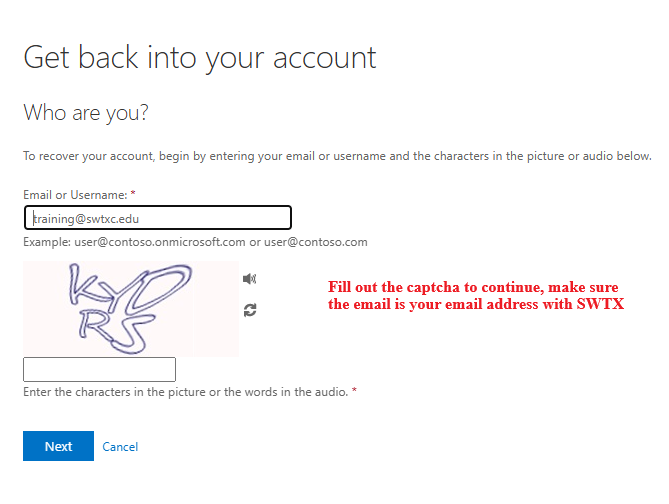 CAPTCHA Prompt