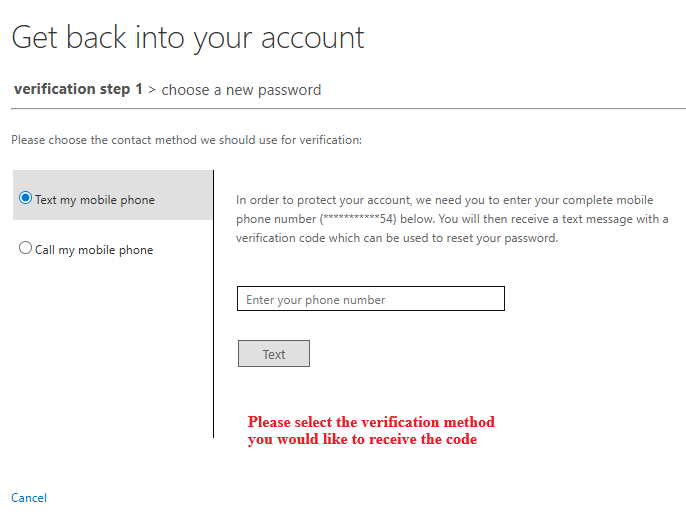 Verification Prompt